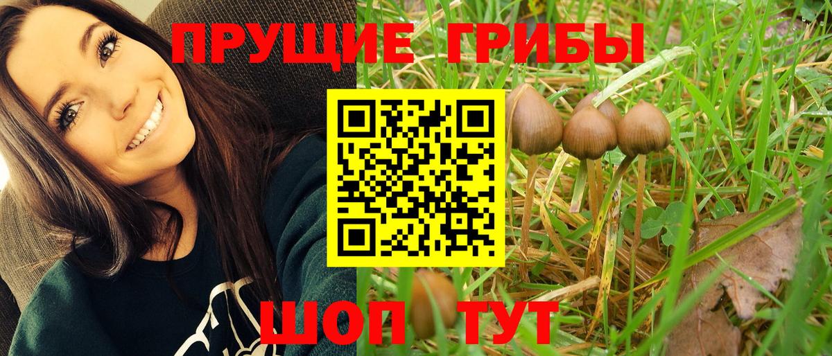 Новотроицк  Псилоцибиновые грибы мицелий  Вход с VPN 