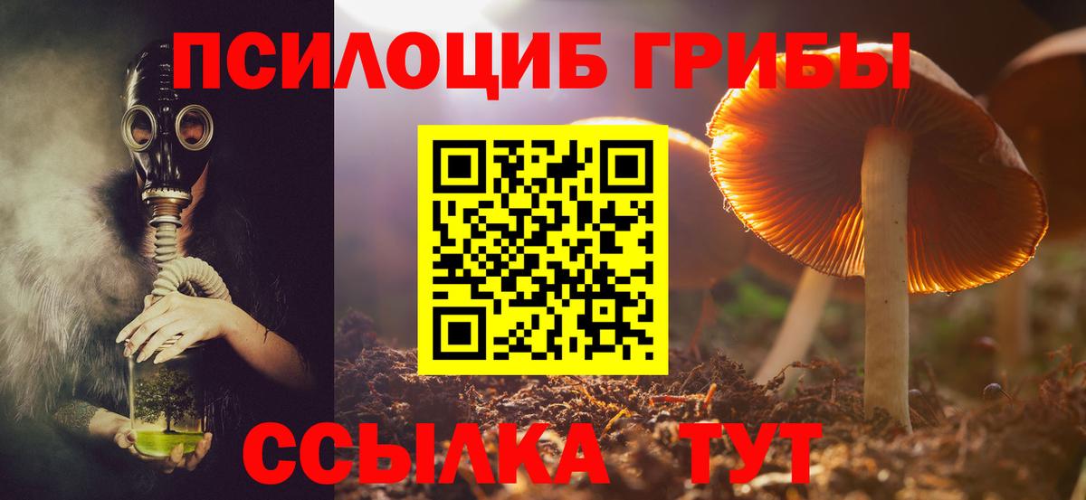 Псилоцибиновые грибы ЛСД Новотроицк